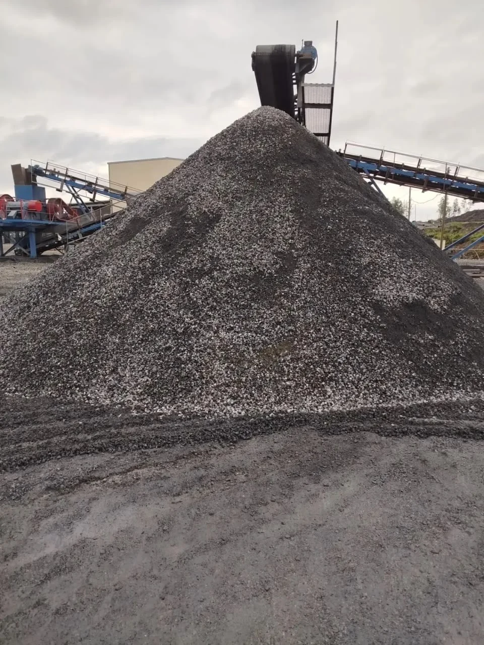 Raw material at a processing site